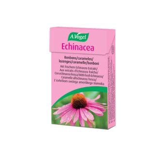 Echinacea bomboni, 30 g