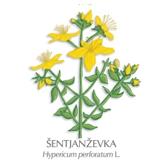 Šentjanževo mazilo, 15 ml