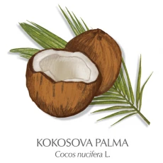Kokosovo olje 200 ml