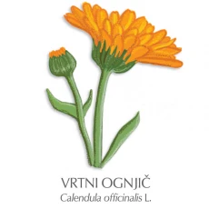 Ognjičevo mazilo, 15 ml