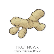 Ingver, 70 g