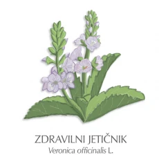 Jetičnik zdravilni čaj, 70 g