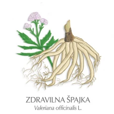 Baldrijanove korenine zdravilni čaj, 100 g