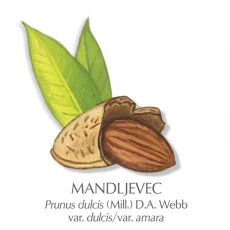 Mandljevo olje, 100 ml