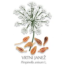 Janež zdravilni čaj, 150 g
