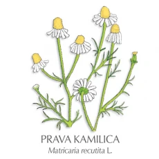 Kamilice zdravilni čaj, 50 g