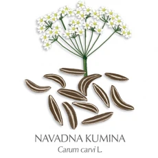 Kumina zdravilni čaj, 150 g