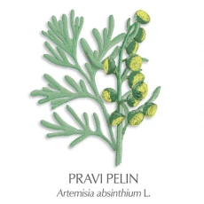 Pelin zdravilni čaj, 100 g