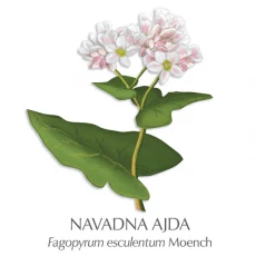 Ajda zdravilni čaj, 70 g